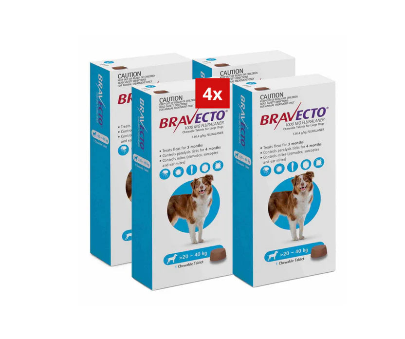 3 Bravecto Anti-Puce-tique à mâcher pour chien de 20-40 kg-Bleu 3 PCS