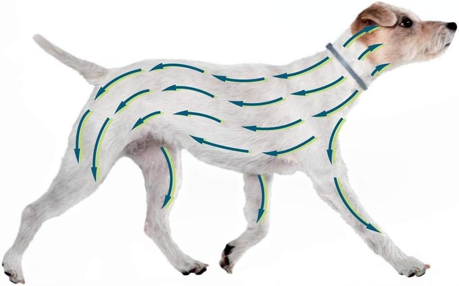 2 Colliers Seresto anti-puce-tique et Antiparasitaire grand Chien+8kg Lot de 2PCS