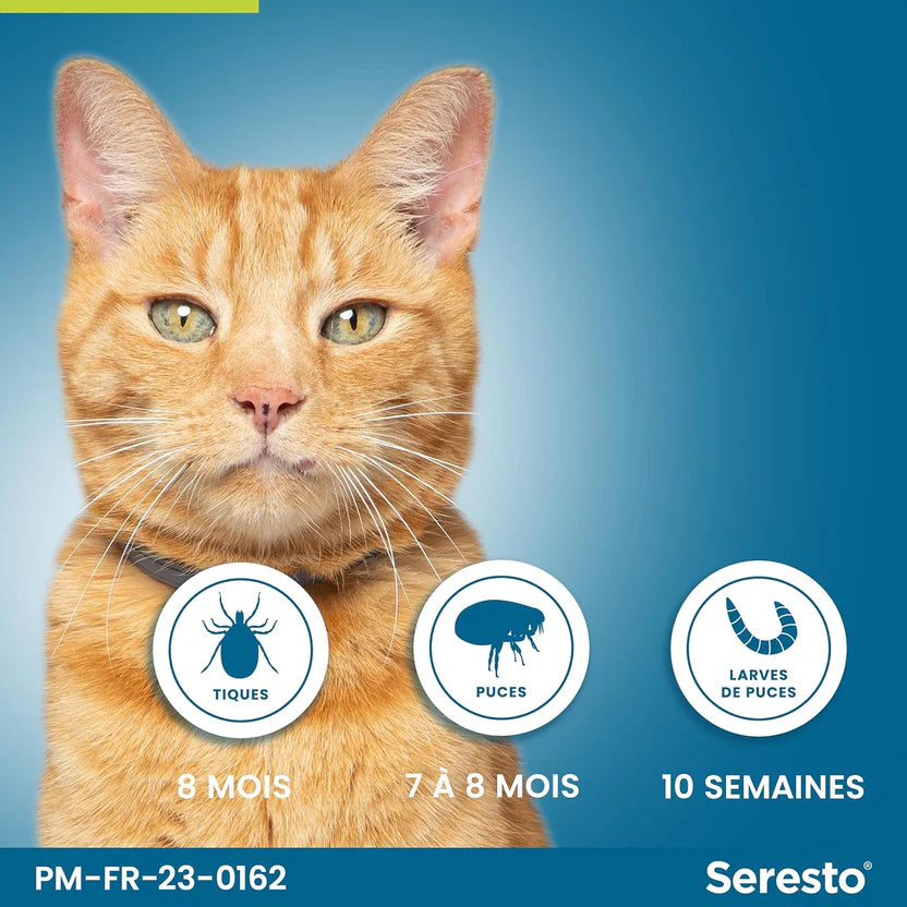 Collier Seresto Anti-Puces-Tiques et Antiparasitaire pour chats