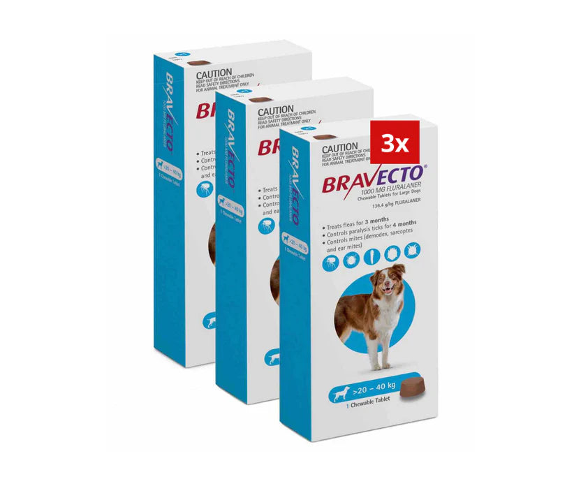 3 Bravecto Anti-Puce-tique à mâcher pour chien de 20-40 kg-Bleu 3 PCS