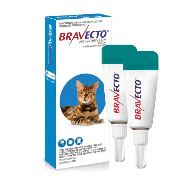 4 Bravecto Solution topique pour chats 2,8-6,25 kg (6,2-13,8 lbs) - Bleu 4 Doses