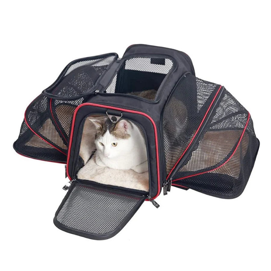Sac de transport extensible pour animaux de compagnie