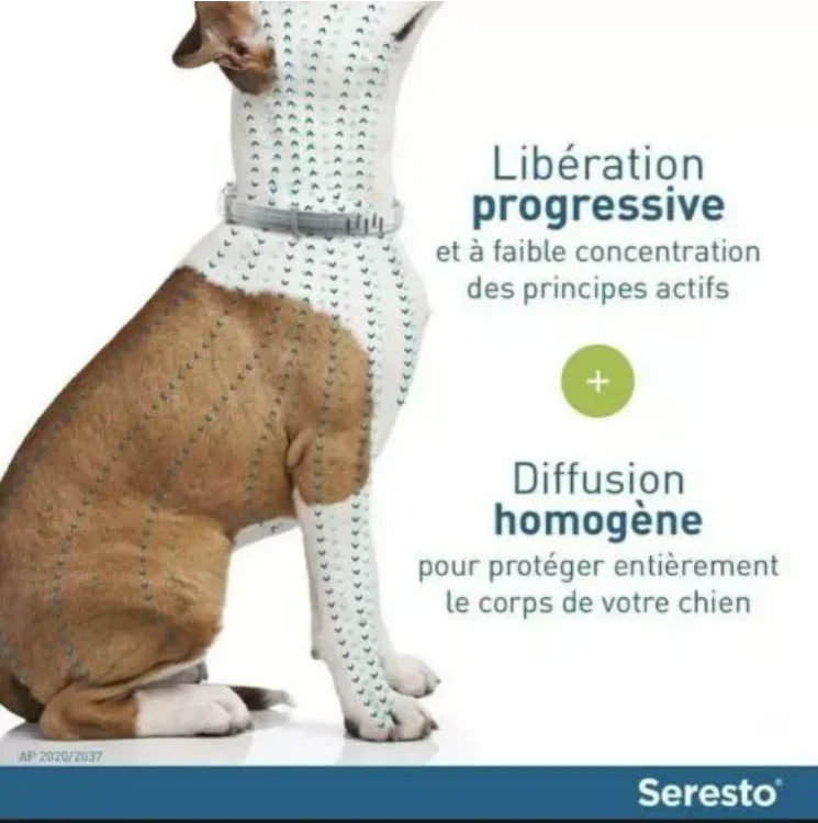 Description du collier anti-puces et anti-tiques Seresto pour grands chiens, avec photo d'un chien jaune et détails du produit.