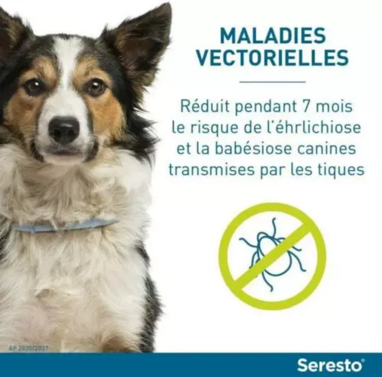 3 boites de collier seresto pour grande chien description du collier anti-puces et anti-tiques Seresto pour grands chiens, avec photo et détails du produit.