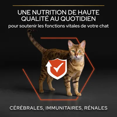 10 kg PURINA PRO PLAN Adult Vital Functions au saumon pour chat (4 variantes)
