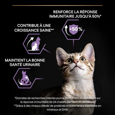 15kg PURINA PRO PLAN Sterilised Kitten Healthy Start saumon pour chaton(4 variantes)