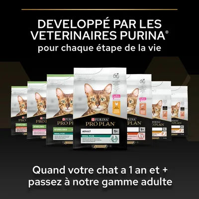 15kg PURINA PRO PLAN Sterilised Kitten Healthy Start saumon pour chaton(4 variantes)