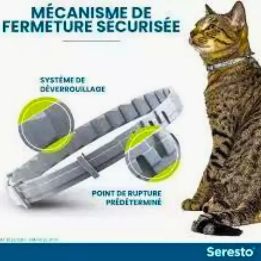 Collier Seresto Anti-Puces-Tiques et Antiparasitaire pour chat