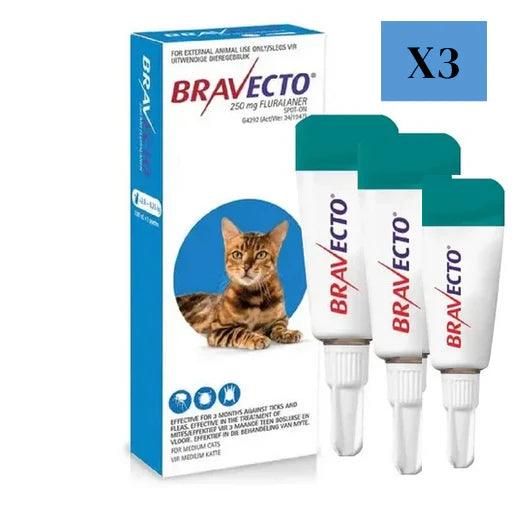 4 Bravecto Solution topique pour chats 2,8-6,25 kg (6,2-13,8 lbs) - Bleu 4 Doses