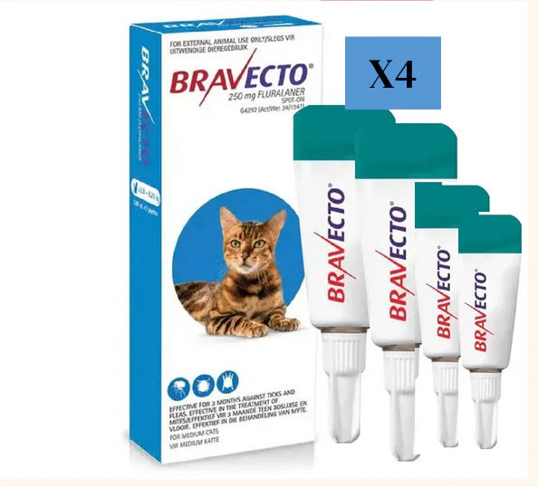 4 Bravecto Solution topique pour chats 2,8-6,25 kg (6,2-13,8 lbs) - Bleu 4 Doses